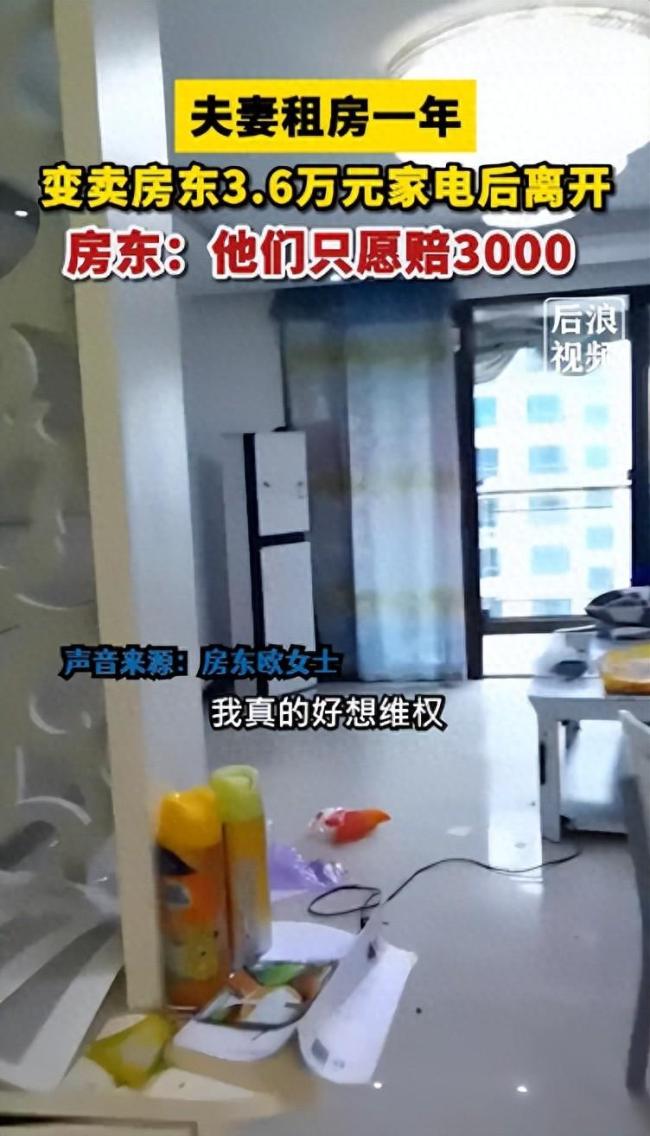变卖房东家电租客发声：房子让给了员工住，自己完全不知情