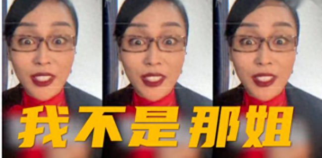 这英模仿那英走红，称想换个活法：之后会带货，不然图什么？