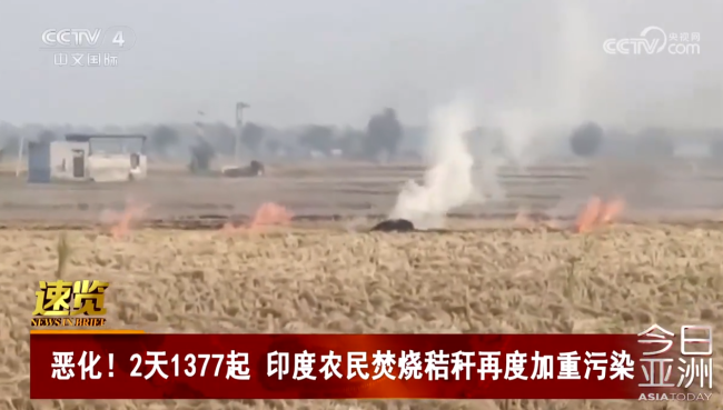 2天爆发1377起！印度农民焚烧秸秆再度加重空气污染