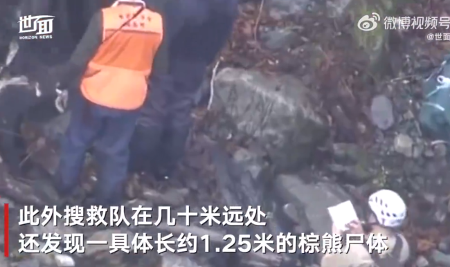 日本北海道一棕熊尸体内发现人体残骸，系登山大学生！