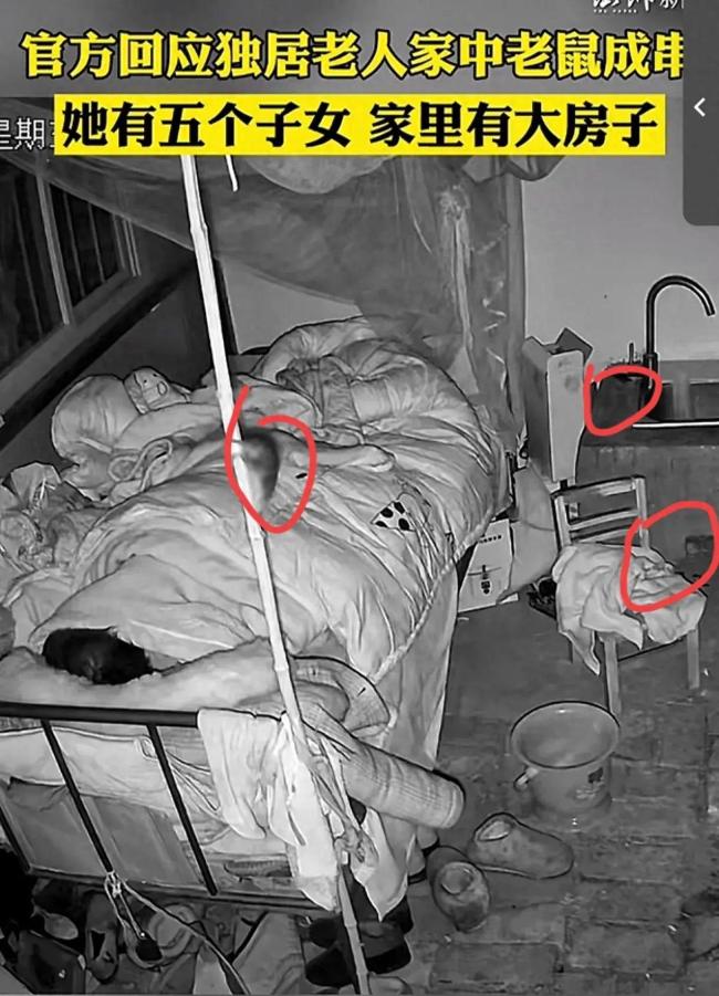 官方回应老人家中老鼠乱窜：三儿媳已赶往家中将老人接走