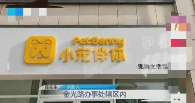 郑州一男子宠物店被霸占后续 街道办：停薪停职，等纪委调查结果