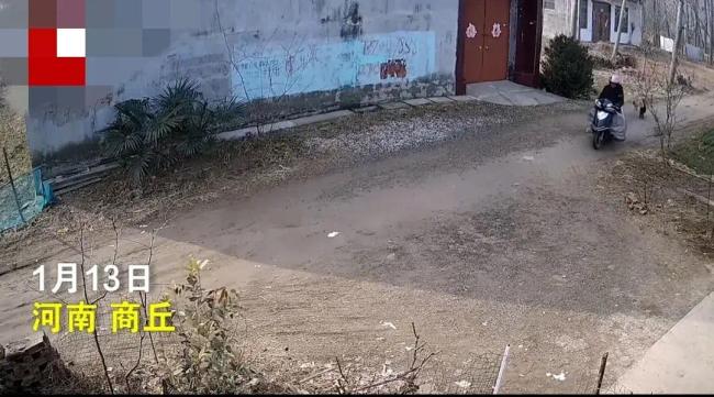 男子骑摩托车发射毒镖偷狗，被主人发现后逃离现场