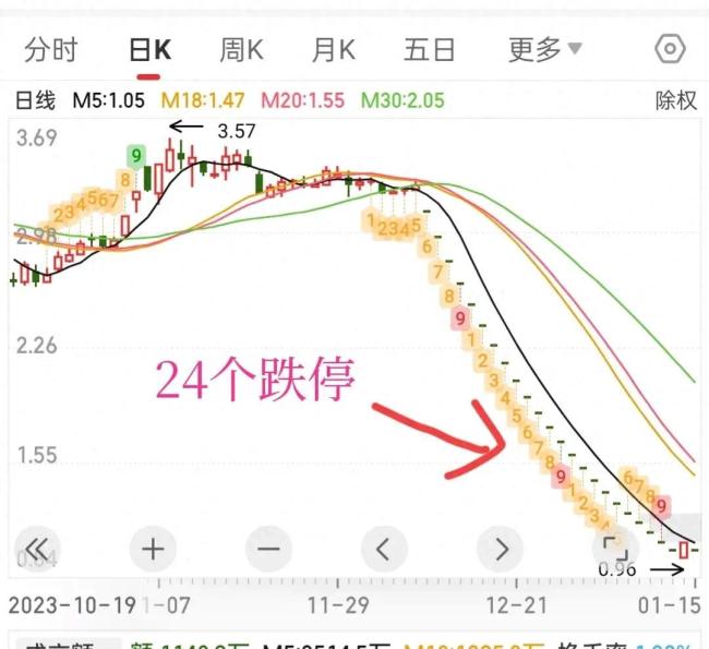 一只股票历经24个跌停达98%跌幅，跌的就剩零头了！