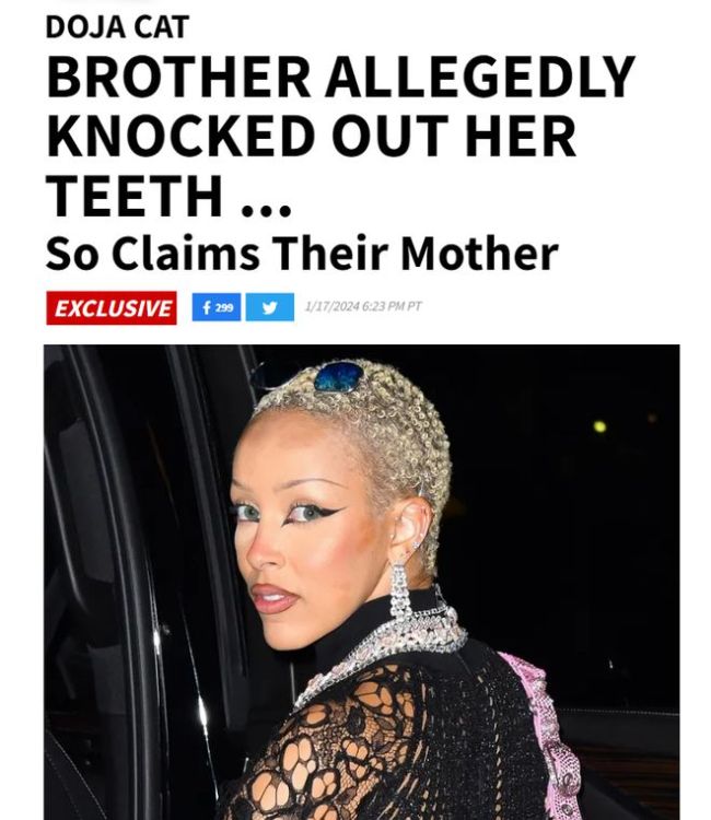 外媒曝歌手豆荚猫被哥哥家暴还企图抢夺财产