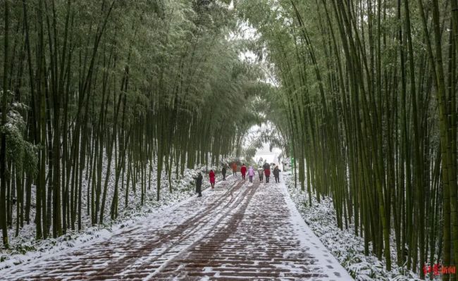 四川西昌迎来2024年第一场雪 未来几天，这些地方还有雪