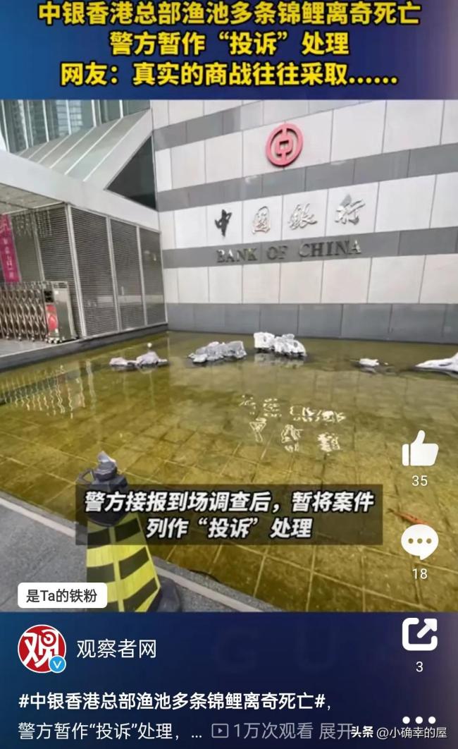 中银香港总部渔池多条锦鲤离奇死亡 香港警方已介入调查