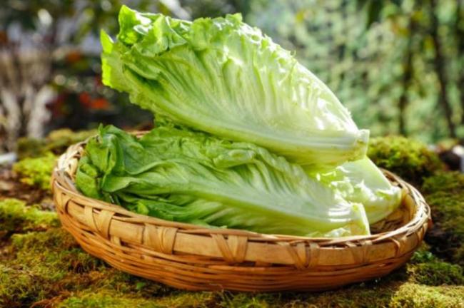 贡菜就是晒干的莴笋看完弄懂二者区别