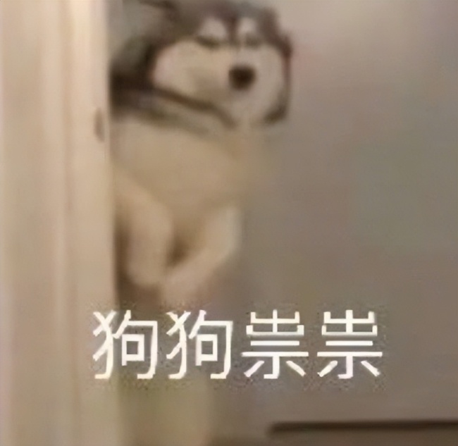 真给我整无语了这是无限超越班导师们内心崩溃的os吧