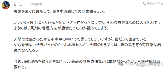 日本一猫咪误入化工池沾满致癌物后逃离，“毒猫”成为当地棘手事件