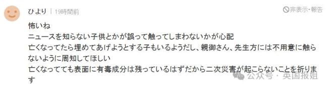 日本福山全城寻找毒流浪猫曾掉进有毒液体罐后逃离 千万不要摸！