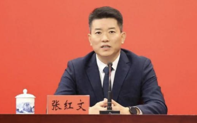 75后张红文任合肥市委书记