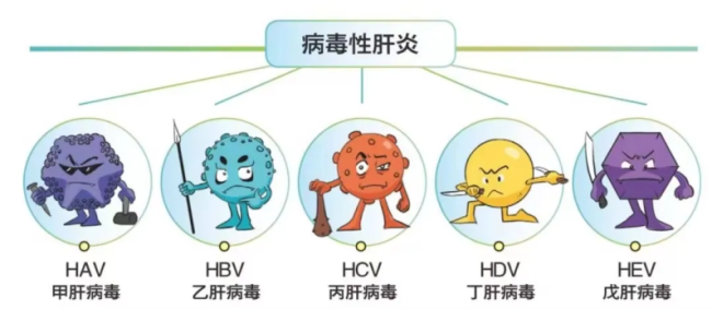 超9成病毒性肝炎患者不知自己感染：肝细胞受损后通常无明显症状