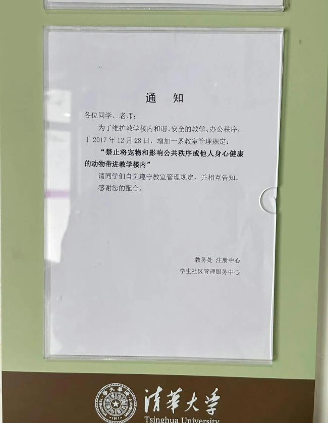 清华教学楼里到底发生过什么 网友评论有宿舍里养鳄鱼、养蛇、养蛤蟆