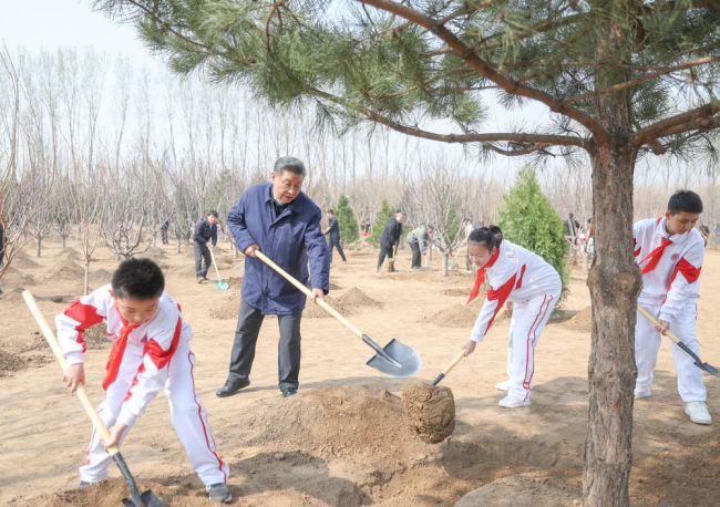 一见·再植绿，总书记期望深、思谋远