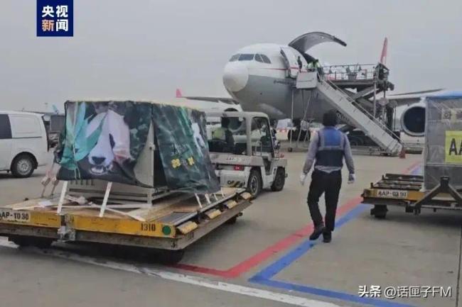 顶流大熊猫“福宝”启程回国 韩国粉丝送别福宝泣不成声