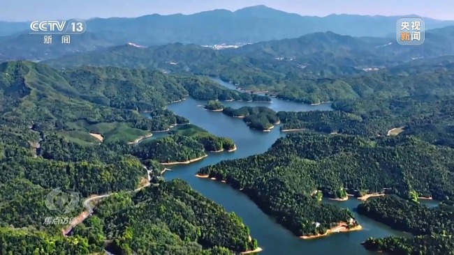 焦点访谈丨全民植树增绿 共建美丽中国