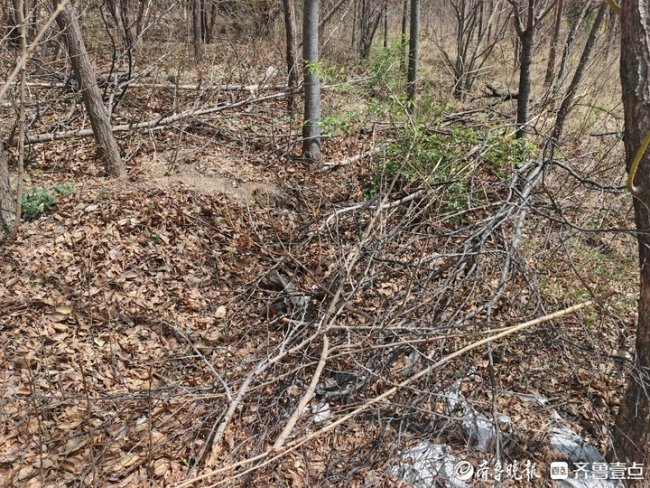 一边是传统习俗一边是城市扩张，小区旁新修4座坟数百业主心慌慌