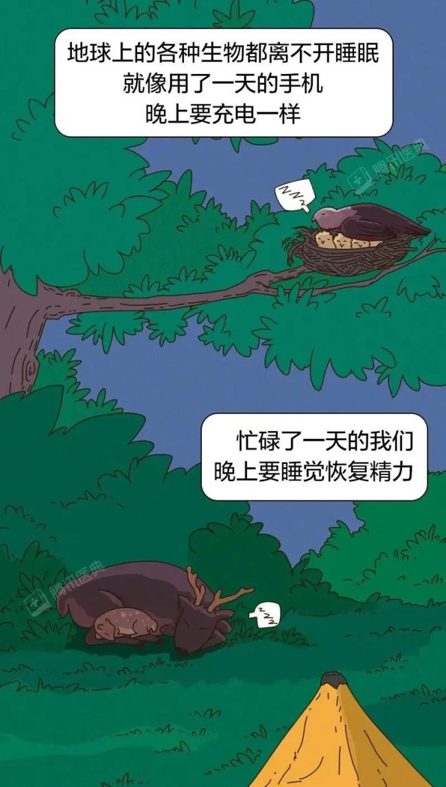 一坐车就打瞌睡的人都有个共同点 你是否有过相似的经历