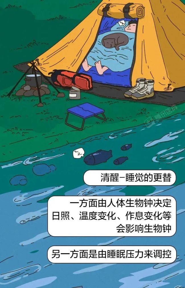 一坐车就打瞌睡的人都有个共同点 你是否有过相似的经历