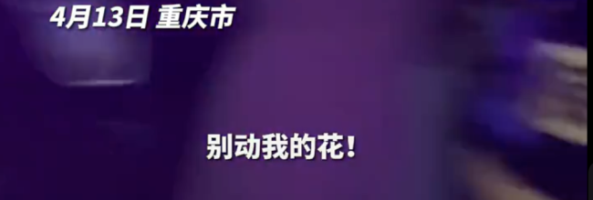 闹大了！薛之谦演唱会粉丝遭粗暴驱赶，礼物被扔，网友评论一边倒