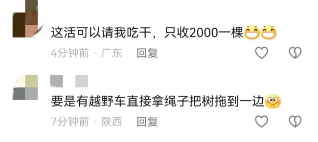 大树被刮倒致堵车 园林称挪树要3千 网友热议费用高昂