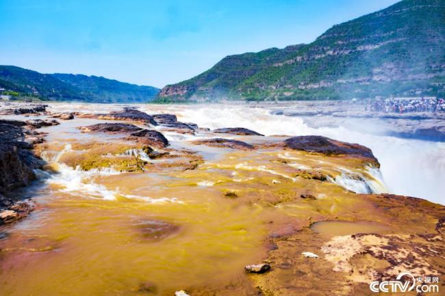 黄河壶口瀑布现“金流飞瀑”美景