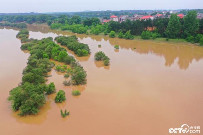 江西吉安：受强降雨影响 赣江水位持续上涨