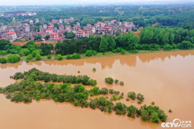 江西吉安：受強降雨影響 贛江水位持續上漲
