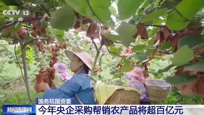 国务院国资委：今年央企采购帮销农产品将超百亿元