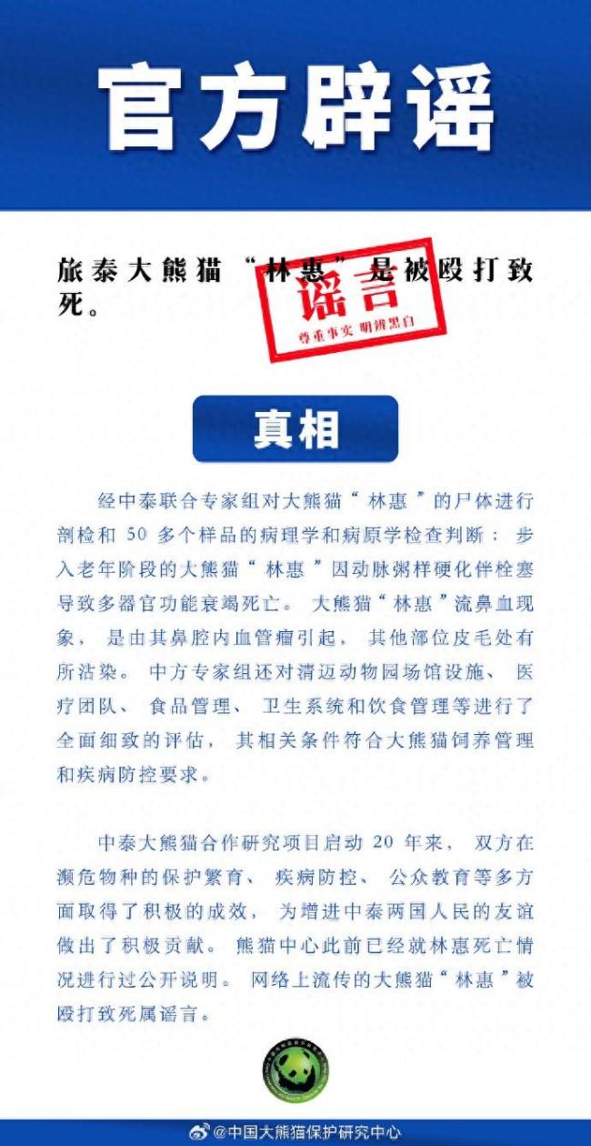 官方辟谣旅泰大熊猫“林惠”被打死