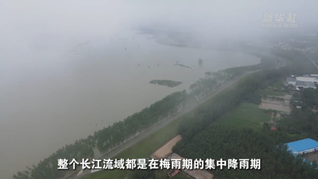 在长江安徽段“起点”看水情 防汛前线的老水利人视角