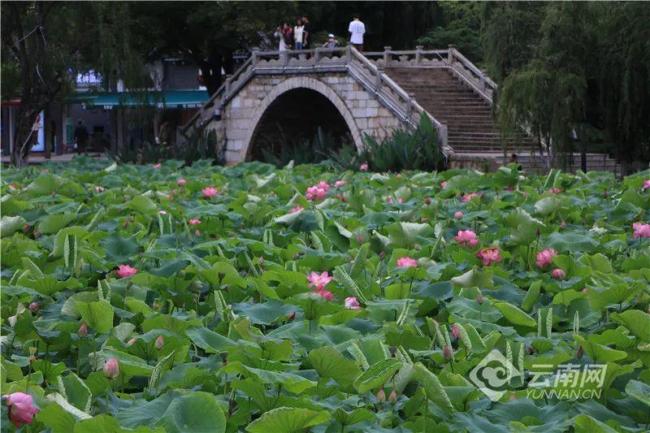 昆明到底有多City？花花世界，避暑天堂