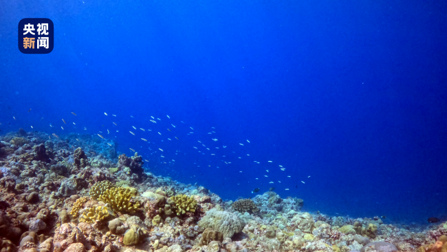 《黃岩島海域生態環境狀況調查評估報告》發布