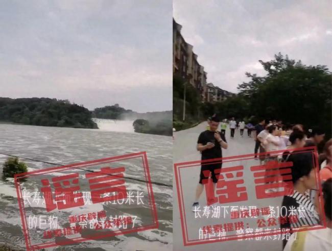 重庆长寿湖发现10米长巨物系谣言
