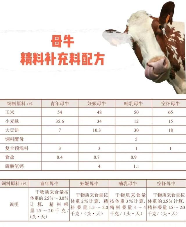 奶价连跌27个月 奶农之殇与行业困境