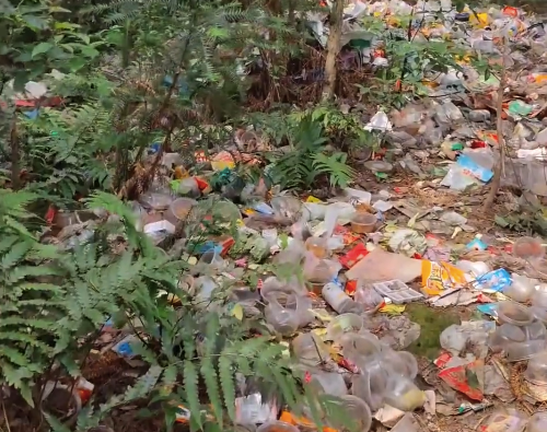 景区树林堆积大片垃圾延伸到悬崖边 工作人员：会反映，派人打扫