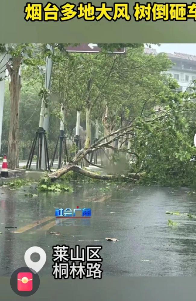 实拍烟台大风 琴音对抗狂风骤雨