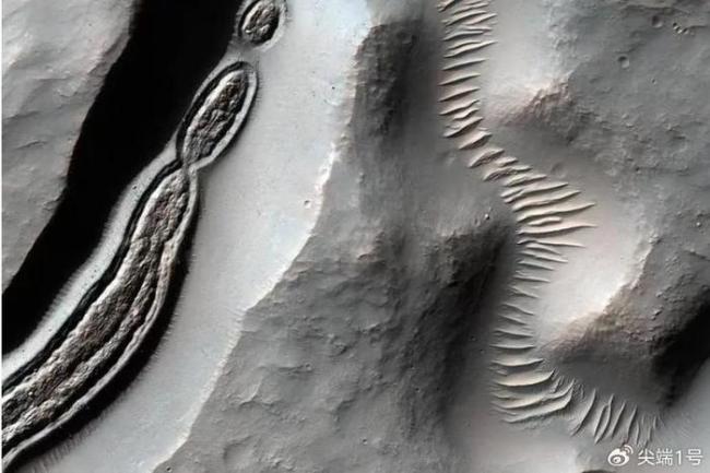 火星远古微生物新证据或出现 奇特"豹纹"岩芯引关注