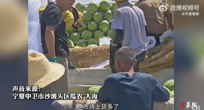 宁夏西瓜涨价 瓜农客商产生纠纷