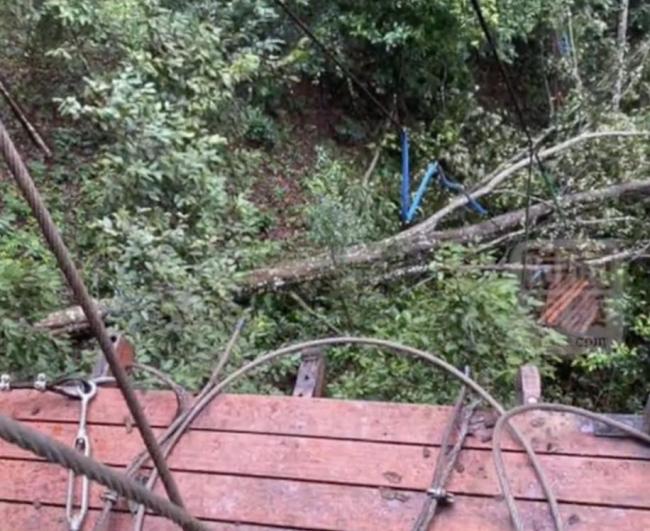 中国夫妇泰国玩丛林飞跃发生意外1死1伤 暑期出游安全警钟再响