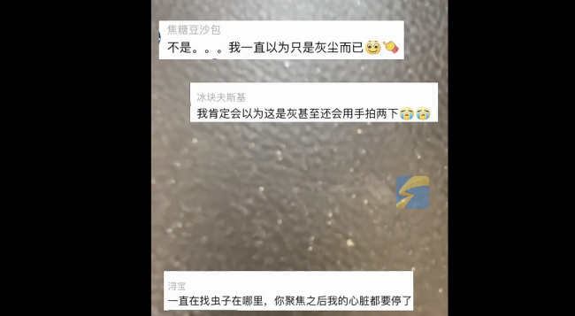 女生发现台球厅沙发大量蠕动虫子 引网友热议