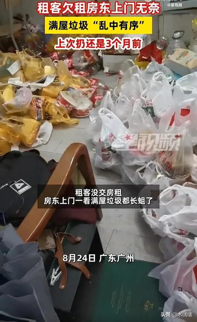 房东上门催租发现满屋垃圾乱中有序