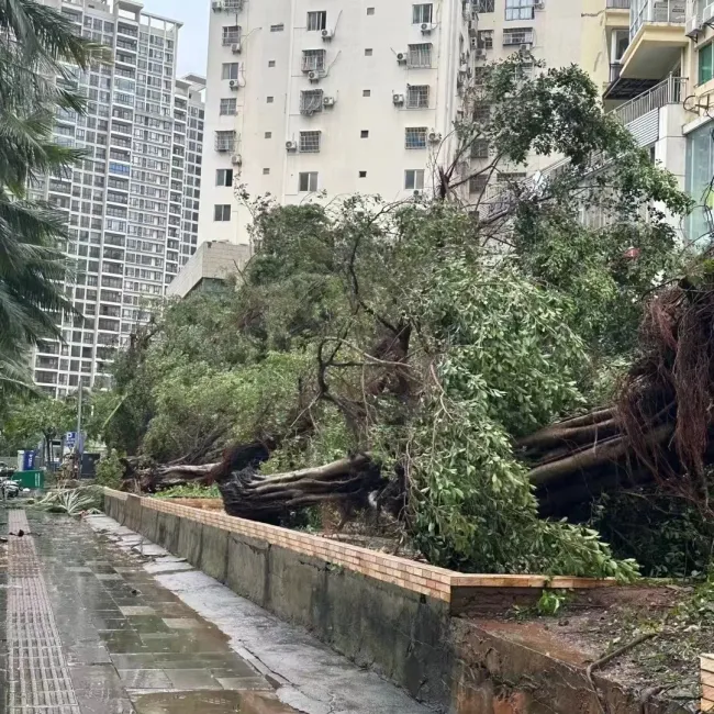 曝台风过后海口4S店修车排长队