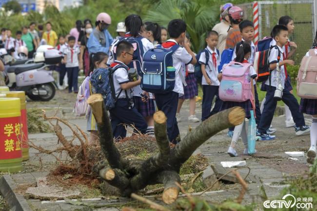 海口各中小学校9日起分批复学复课