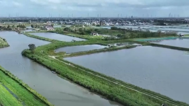 阳澄湖大闸蟹被台风“吹”跑了？记者实地探访