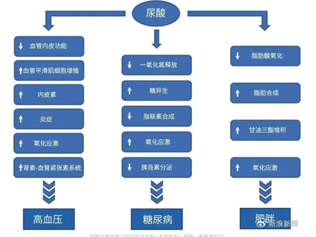 尿酸危机席卷中国！痛风越来越年轻化，元凶到底是什么？