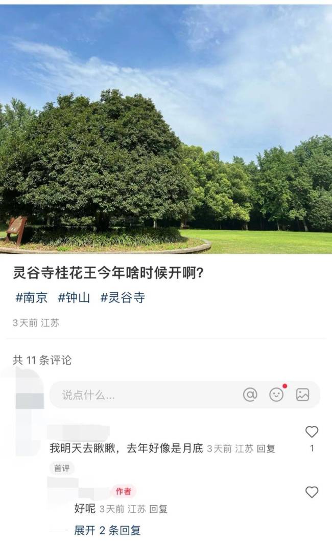 再等一周左右南京将满城桂花香 秋色宜人待赏桂