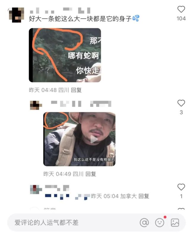 博主回应哀牢山“疑似凶兽”是树根 网友热议“探险恐怖片”成真？