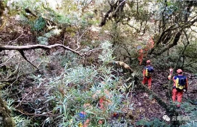 记者深入哀牢山突遇浓雾 揭秘致命探险之旅